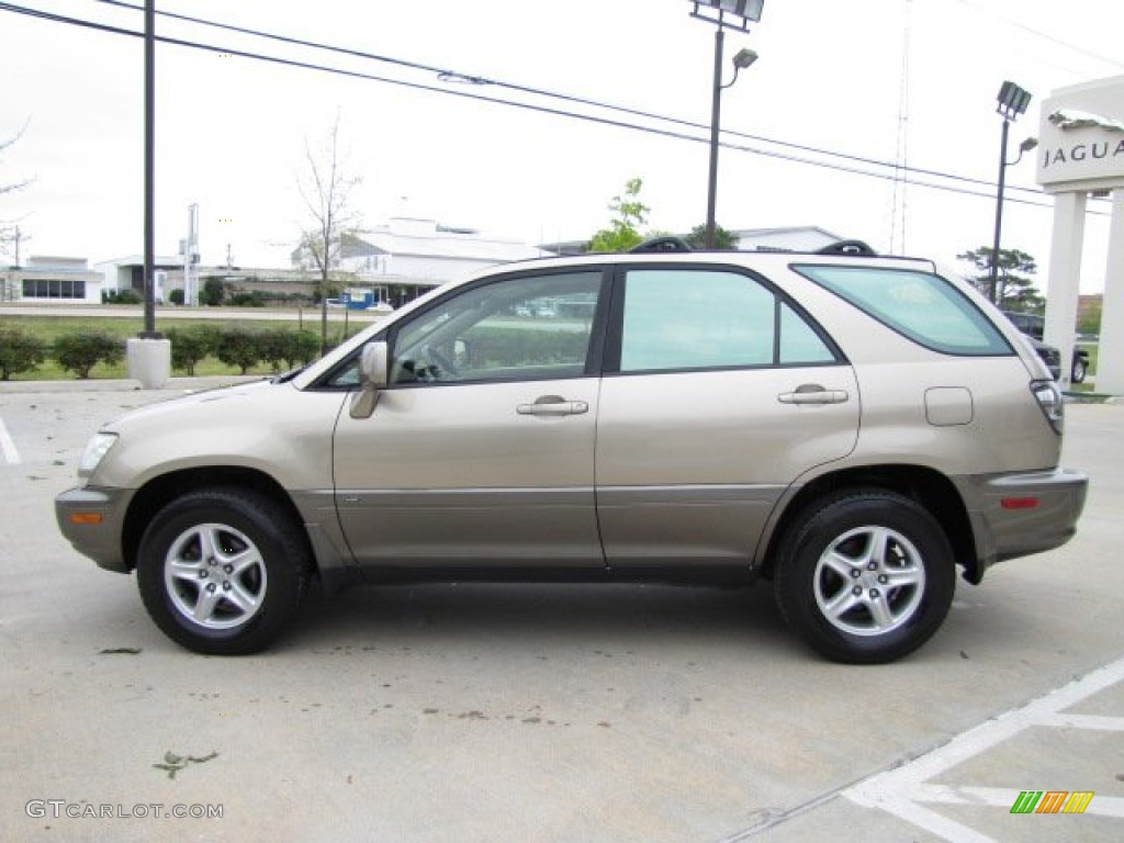 2003 RX 300 - Burnished Gold Metallic / Ivory photo #7
