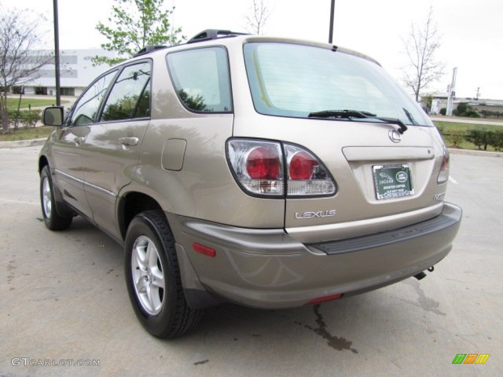 2003 RX 300 - Burnished Gold Metallic / Ivory photo #8