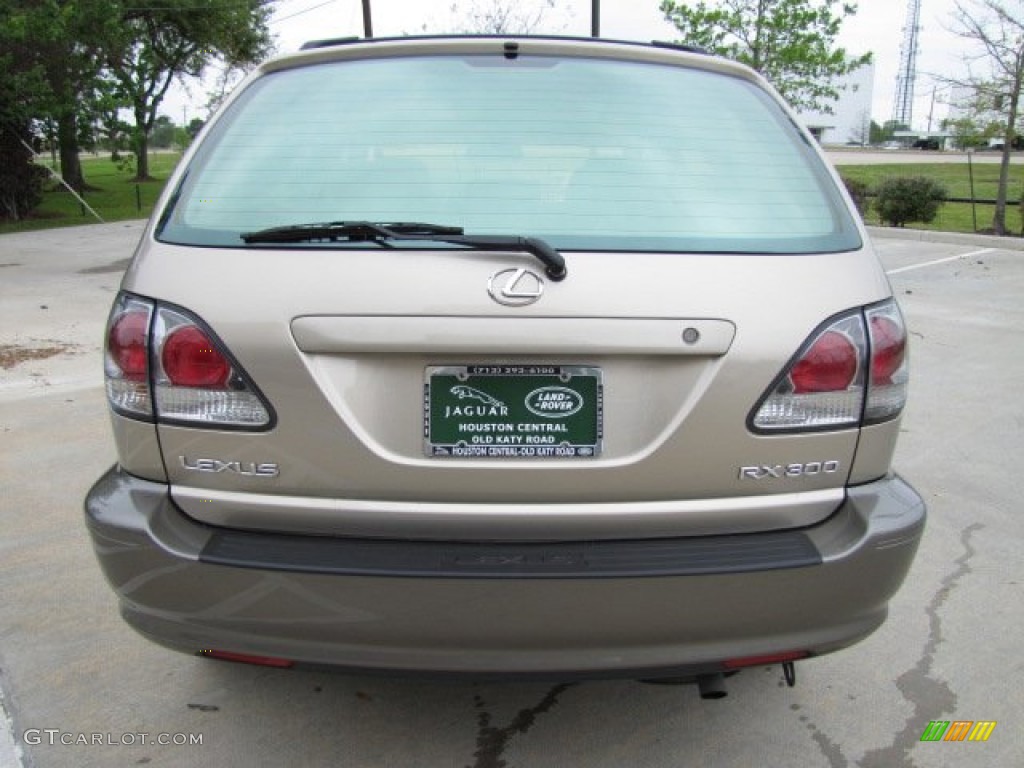 2003 RX 300 - Burnished Gold Metallic / Ivory photo #9