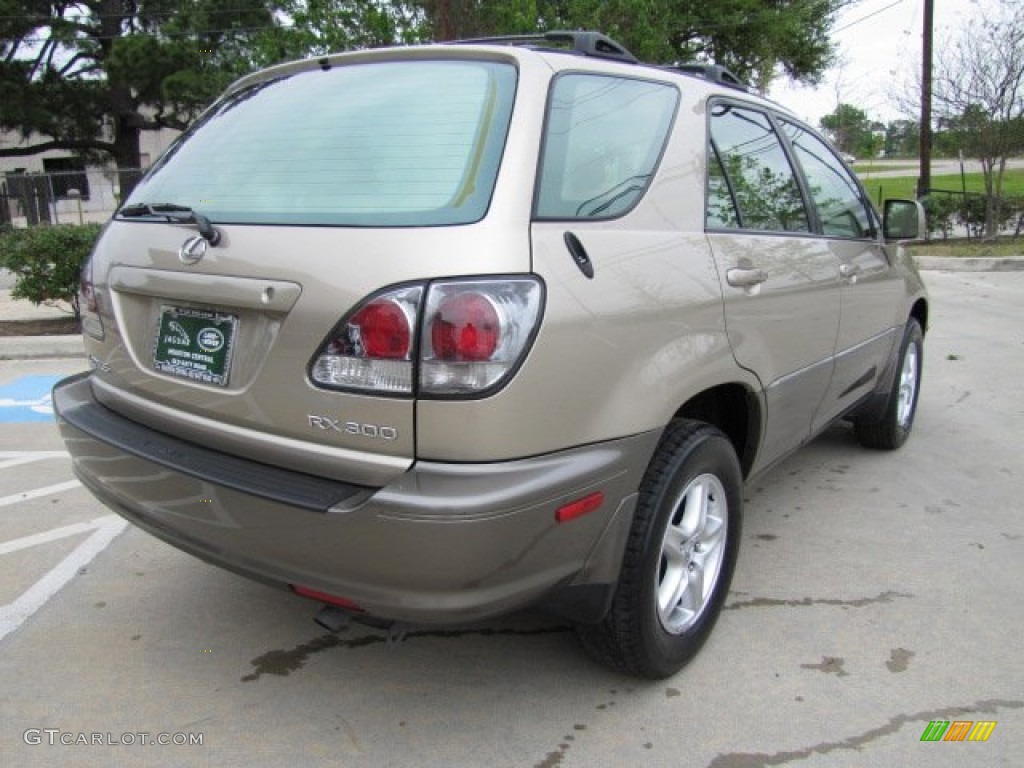 2003 RX 300 - Burnished Gold Metallic / Ivory photo #10