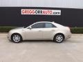 Gold Mist - CTS Sedan Photo No. 3
