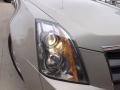 Gold Mist - CTS Sedan Photo No. 12