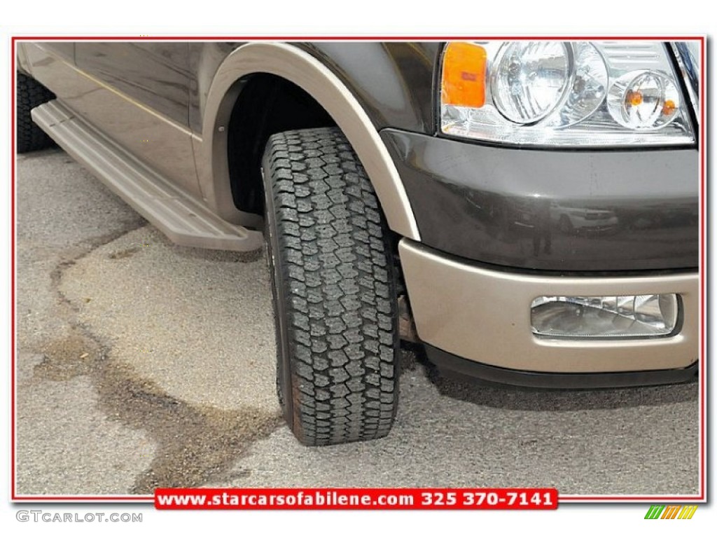 2005 F150 King Ranch SuperCrew 4x4 - Dark Stone Metallic / Castano Brown Leather photo #13