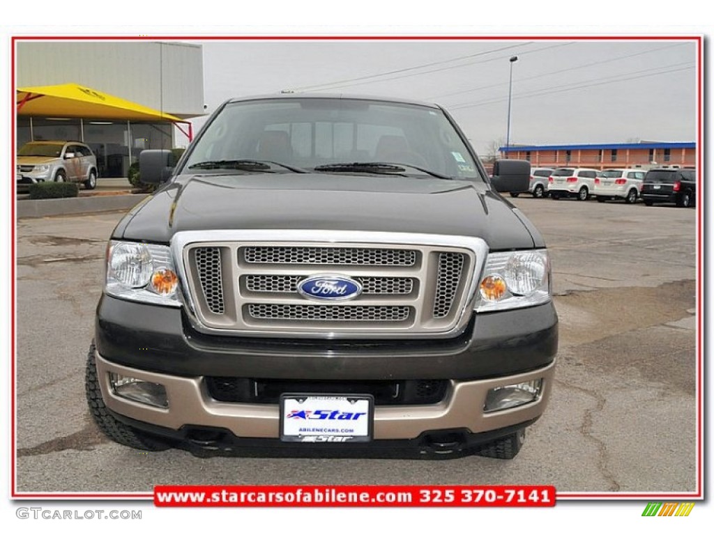 2005 F150 King Ranch SuperCrew 4x4 - Dark Stone Metallic / Castano Brown Leather photo #14