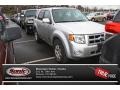 Silver Metallic 2008 Ford Escape Limited 4WD