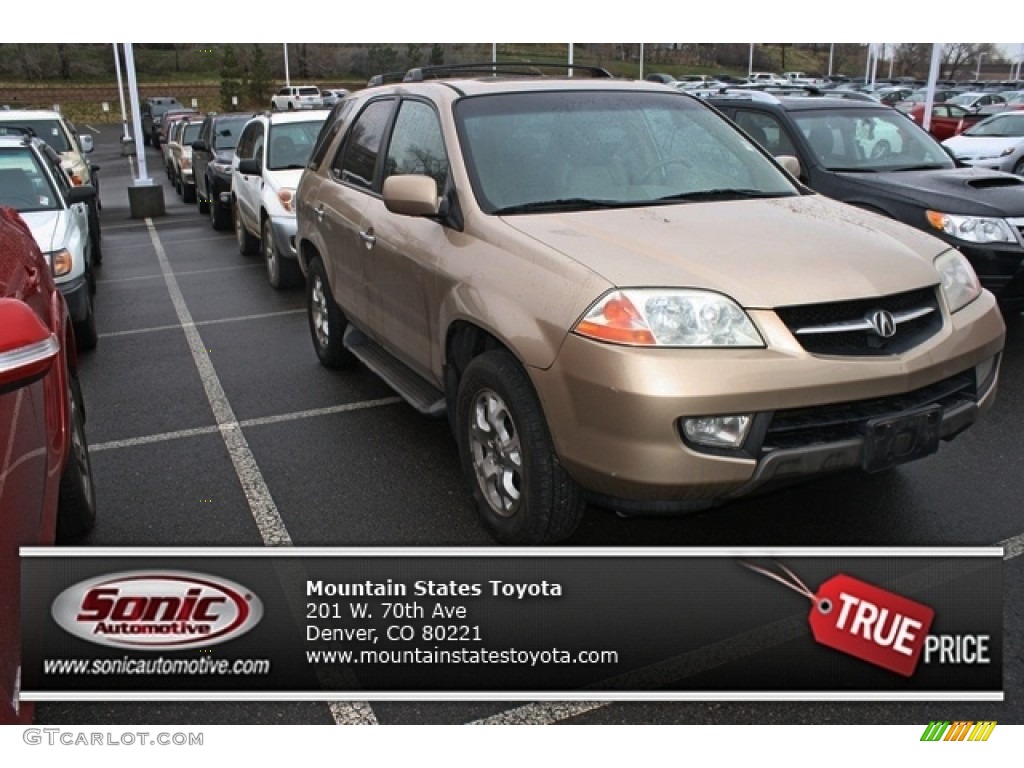 2002 MDX Touring - Mesa Beige Metallic / Saddle photo #1