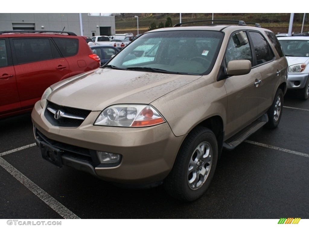 2002 MDX Touring - Mesa Beige Metallic / Saddle photo #4