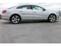 Reflex Silver Metallic 2010 Volkswagen CC Sport Exterior