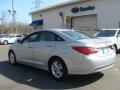 Radiant Silver - Sonata GLS Photo No. 6