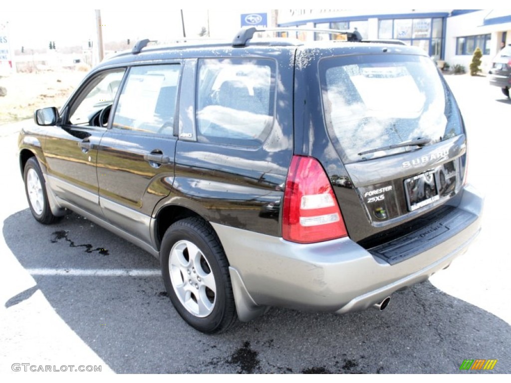 2004 Forester 2.5 XS - Java Black Pearl / Gray photo #10