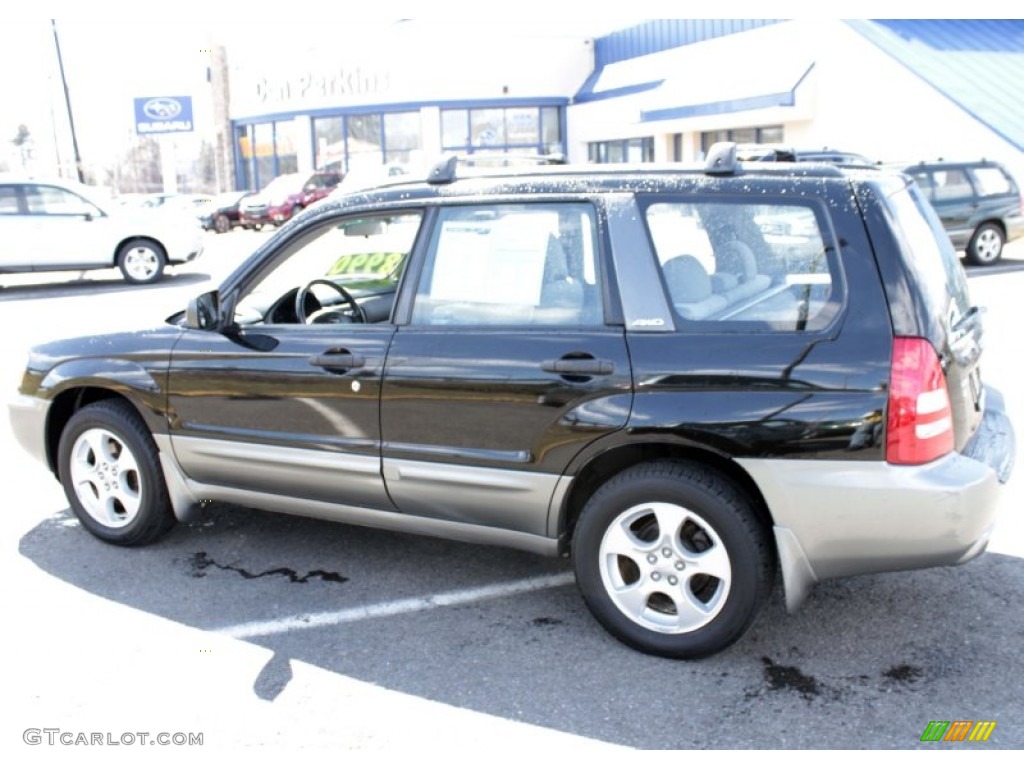2004 Forester 2.5 XS - Java Black Pearl / Gray photo #11