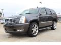 2010 Galaxy Gray Cadillac Escalade Luxury  photo #2