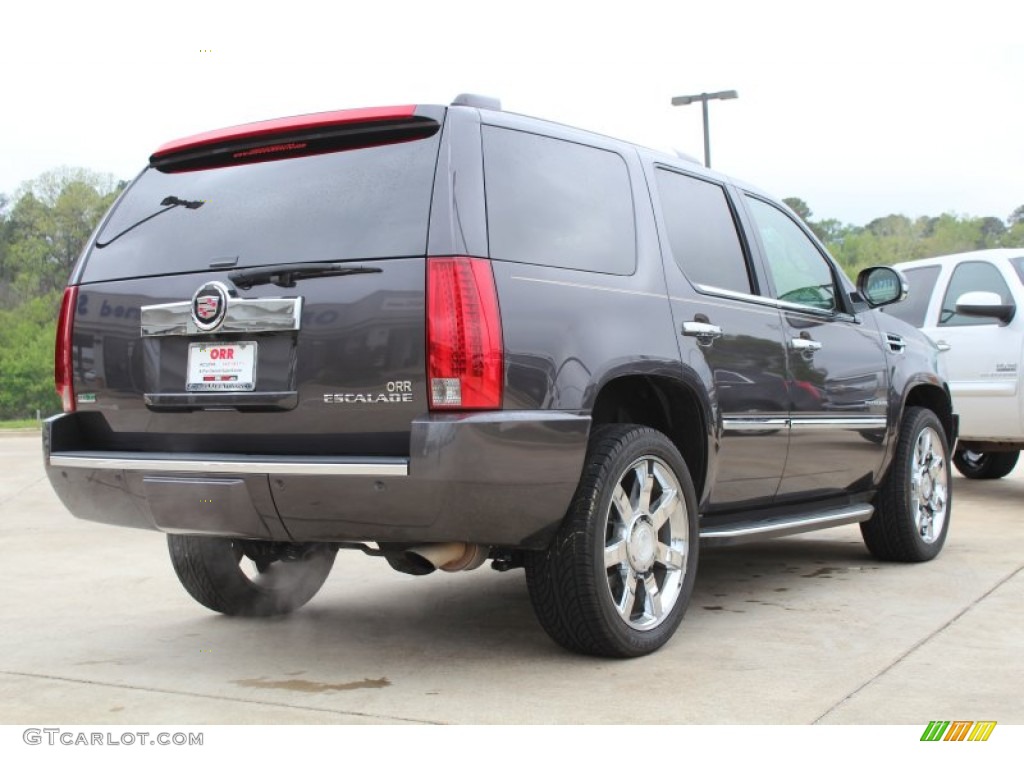 2010 Escalade Luxury - Galaxy Gray / Cashmere/Cocoa photo #4