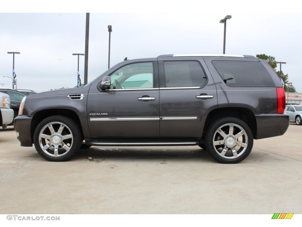 2010 Escalade Luxury - Galaxy Gray / Cashmere/Cocoa photo #5