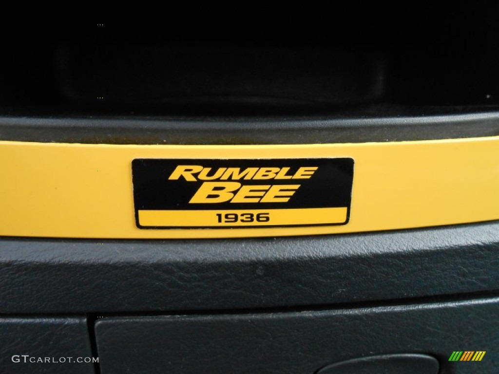 2004 Ram 1500 Rumble Bee Regular Cab 4x4 - Black / Dark Slate Gray/Yellow Accents photo #19