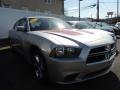 Bright Silver Metallic - Charger SE Photo No. 5