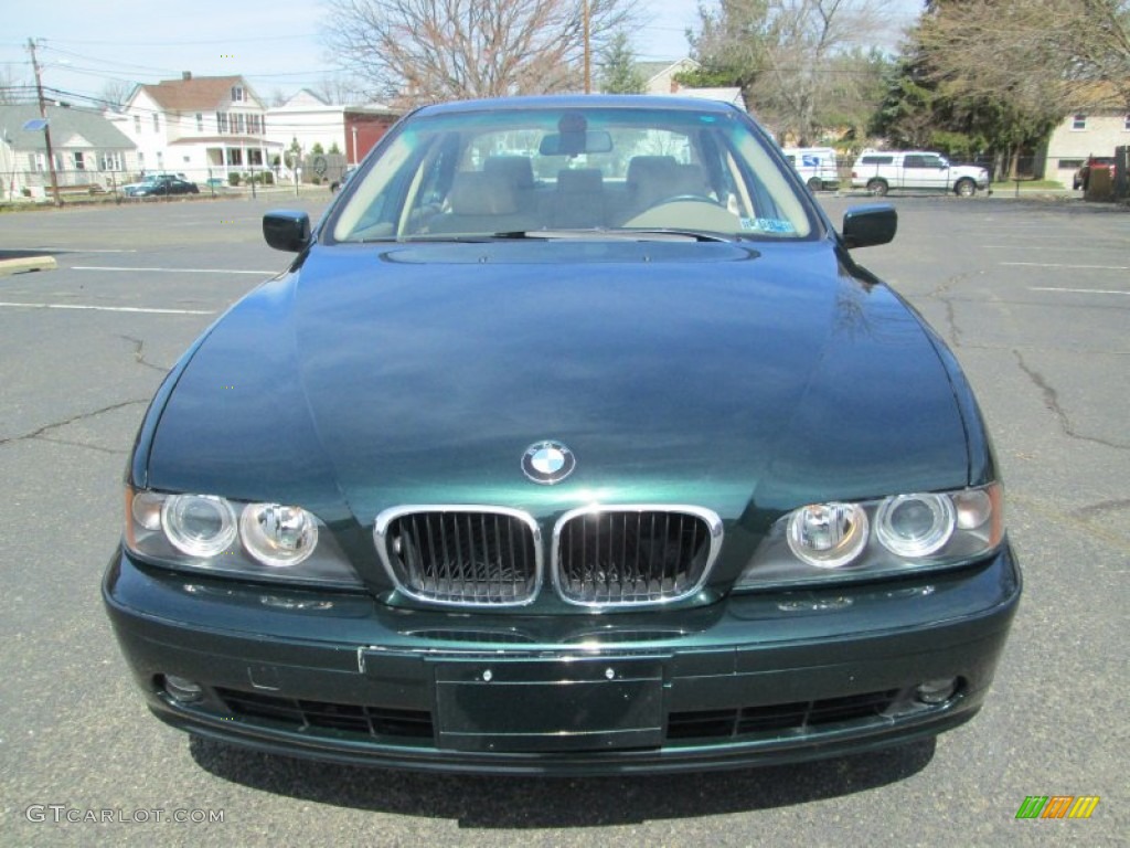 2003 5 Series 530i Sedan - Oxford Green Metallic / Sand Beige photo #12