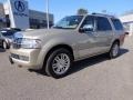 2008 Light French Silk Metallic Lincoln Navigator Luxury  photo #2