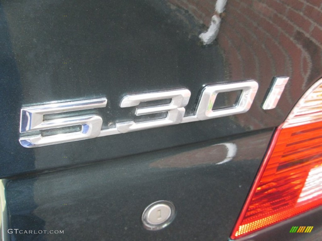 2003 5 Series 530i Sedan - Oxford Green Metallic / Sand Beige photo #31