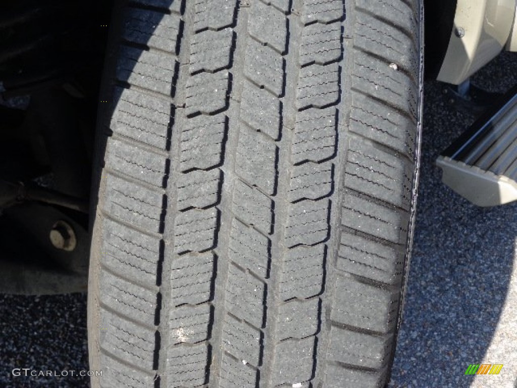 2008 Navigator Luxury - Light French Silk Metallic / Camel/Sand Piping photo #28