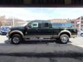 Green Gem Metallic - F250 Super Duty Lariat Crew Cab 4x4 Photo No. 5