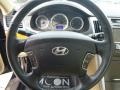 2009 Ebony Black Hyundai Sonata Limited  photo #22