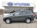 2010 Black Forest Green Metallic Hyundai Santa Fe GLS 4WD  photo #1