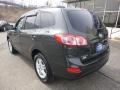 2010 Black Forest Green Metallic Hyundai Santa Fe GLS 4WD  photo #2