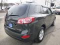 2010 Black Forest Green Metallic Hyundai Santa Fe GLS 4WD  photo #4