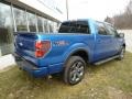 Blue Flame Metallic - F150 FX4 SuperCrew 4x4 Photo No. 7