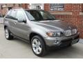 Sterling Grey Metallic - X5 4.4i Photo No. 11