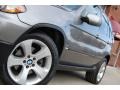 Sterling Grey Metallic - X5 4.4i Photo No. 14
