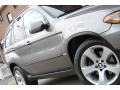 Sterling Grey Metallic - X5 4.4i Photo No. 16