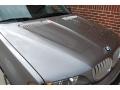 Sterling Grey Metallic - X5 4.4i Photo No. 29