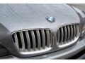 Sterling Grey Metallic - X5 4.4i Photo No. 73