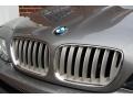 Sterling Grey Metallic - X5 4.4i Photo No. 75