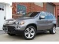 Sterling Grey Metallic - X5 4.4i Photo No. 105