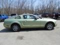Legend Lime Metallic 2005 Ford Mustang V6 Deluxe Coupe Exterior