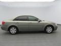 Natural Khaki Green - Sonata GLS Photo No. 4