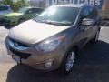 2011 Chai Bronze Hyundai Tucson Limited  photo #2