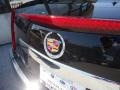 Black Raven - CTS 3.0 Sedan Photo No. 32