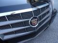 Black Raven - CTS 3.0 Sedan Photo No. 35