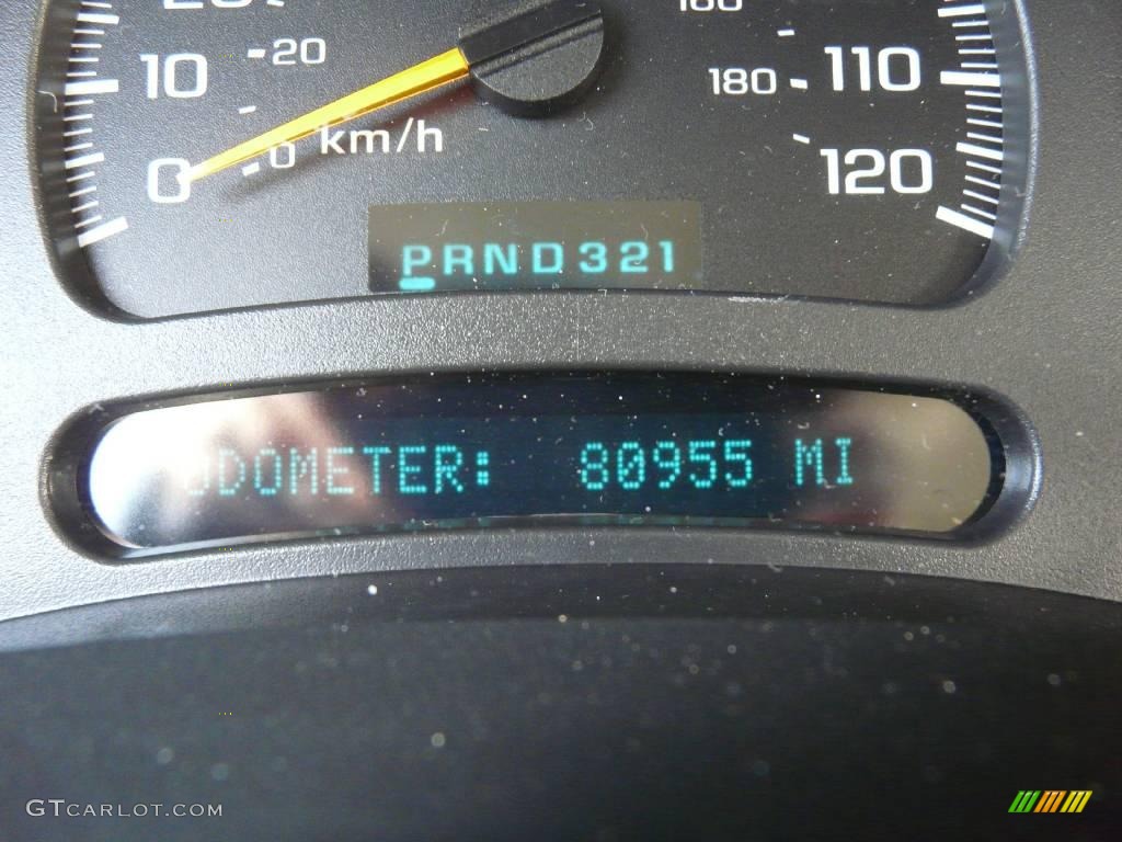 2003 Suburban 1500 Z71 4x4 - Light Pewter Metallic / Gray/Dark Charcoal photo #18