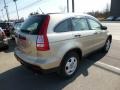 2009 Borrego Beige Metallic Honda CR-V LX 4WD  photo #6