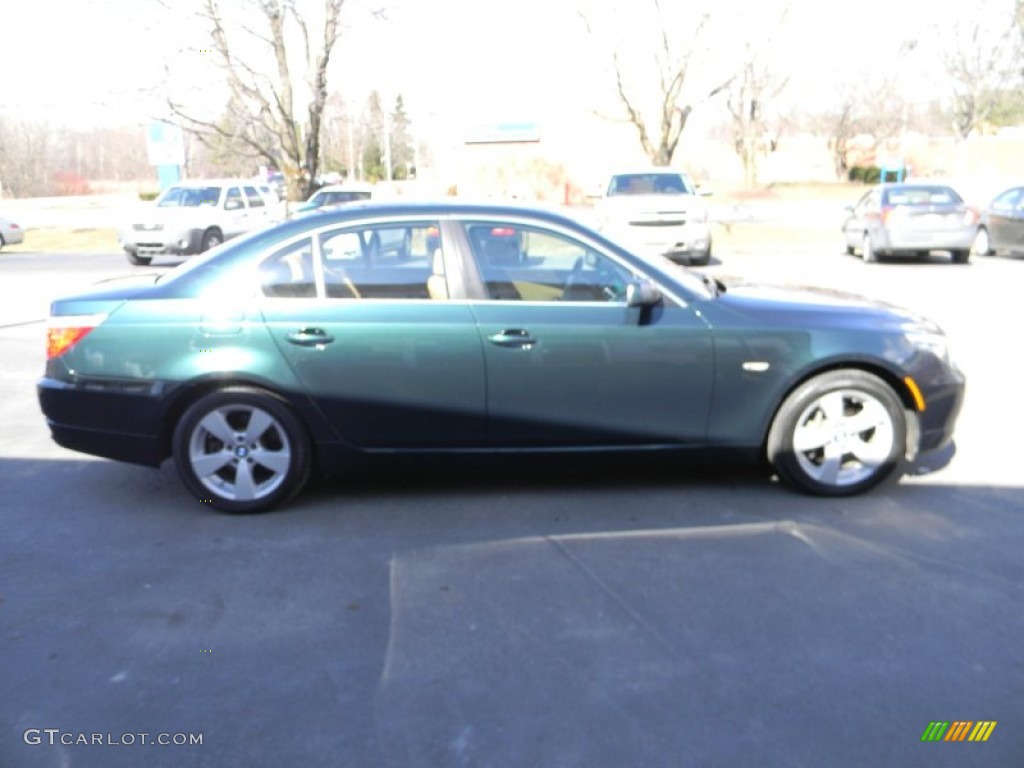 2008 5 Series 528xi Sedan - Deep Green Metallic / Natural Brown photo #7