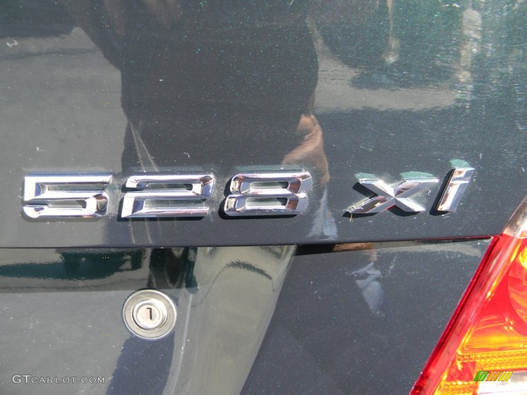 2008 5 Series 528xi Sedan - Deep Green Metallic / Natural Brown photo #31