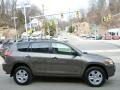 Pyrite Metallic - RAV4 I4 4WD Photo No. 10