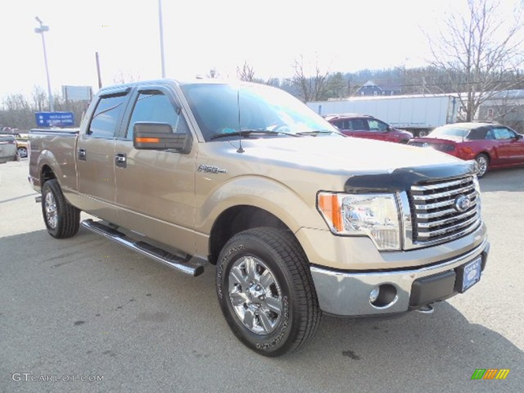 2011 F150 XLT SuperCrew 4x4 - Pale Adobe Metallic / Pale Adobe photo #6