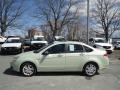Natural Neutral Metallic 2010 Ford Focus SEL Sedan Exterior