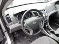 Radiant Silver - Sonata GLS Photo No. 3
